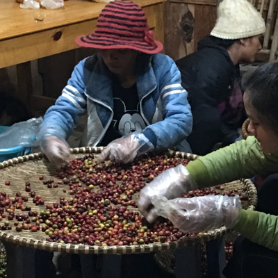 Sorting — Simple Coffee