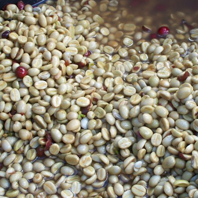 Washing — Simple Coffee