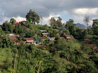 Direct Trade — Simple Coffee